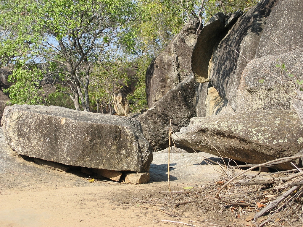 086 Granite Gorge.jpg